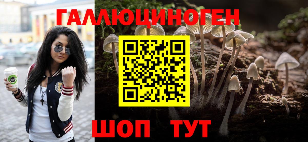 Галлюциногенные грибы GOLDEN TEACHER Норильск