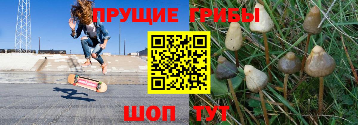 Норильск  Псилоцибиновые грибы GOLDEN TEACHER  Вход с VPN 
